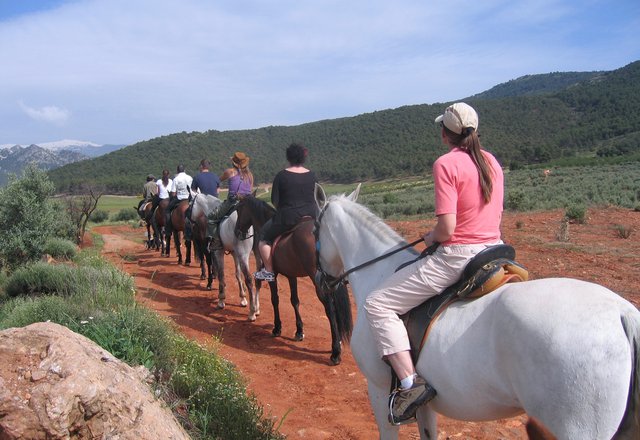 Intensive Spanish course + Horse riding Escuela Montalbán