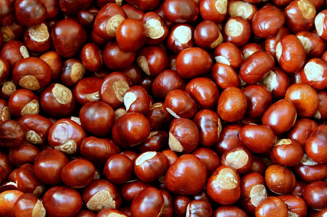 "Magostos" and chestnuts in the street