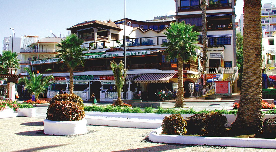 Imagen de la galleria