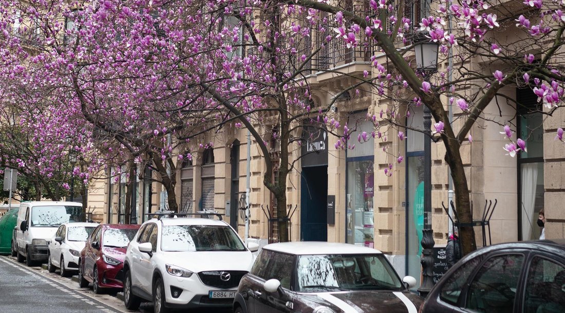 Imagen de la galleria